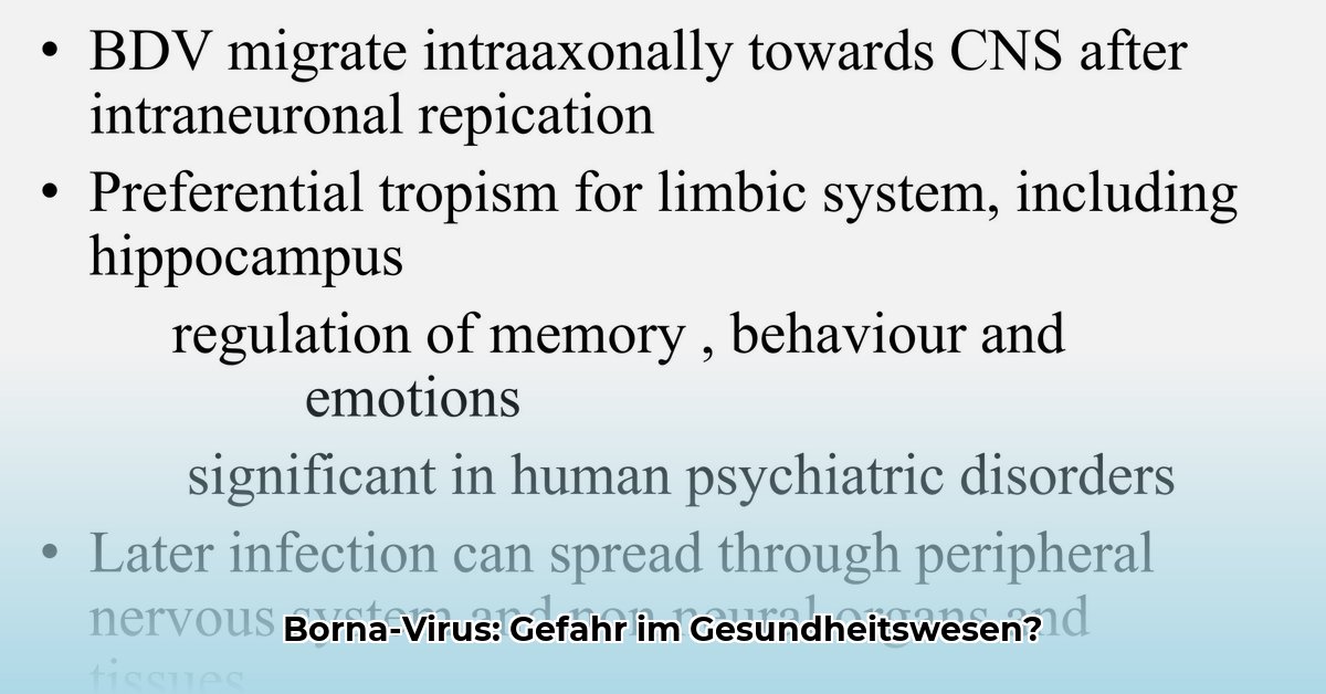 borna-disease-virus-1